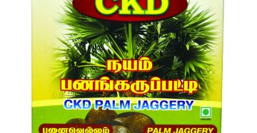 Palm Jaggery